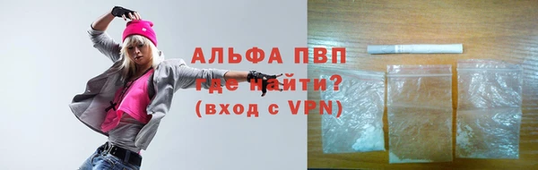 хмурый Абаза