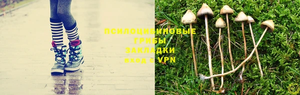 меф Осташков
