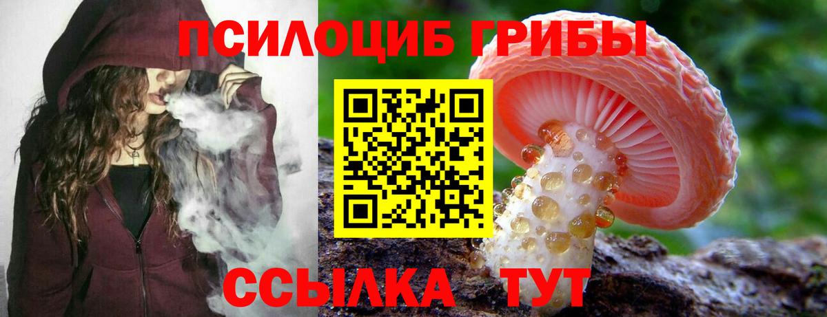 наркота  Вход с VPN  Дербент  Псилоцибиновые грибы Psilocybe 
